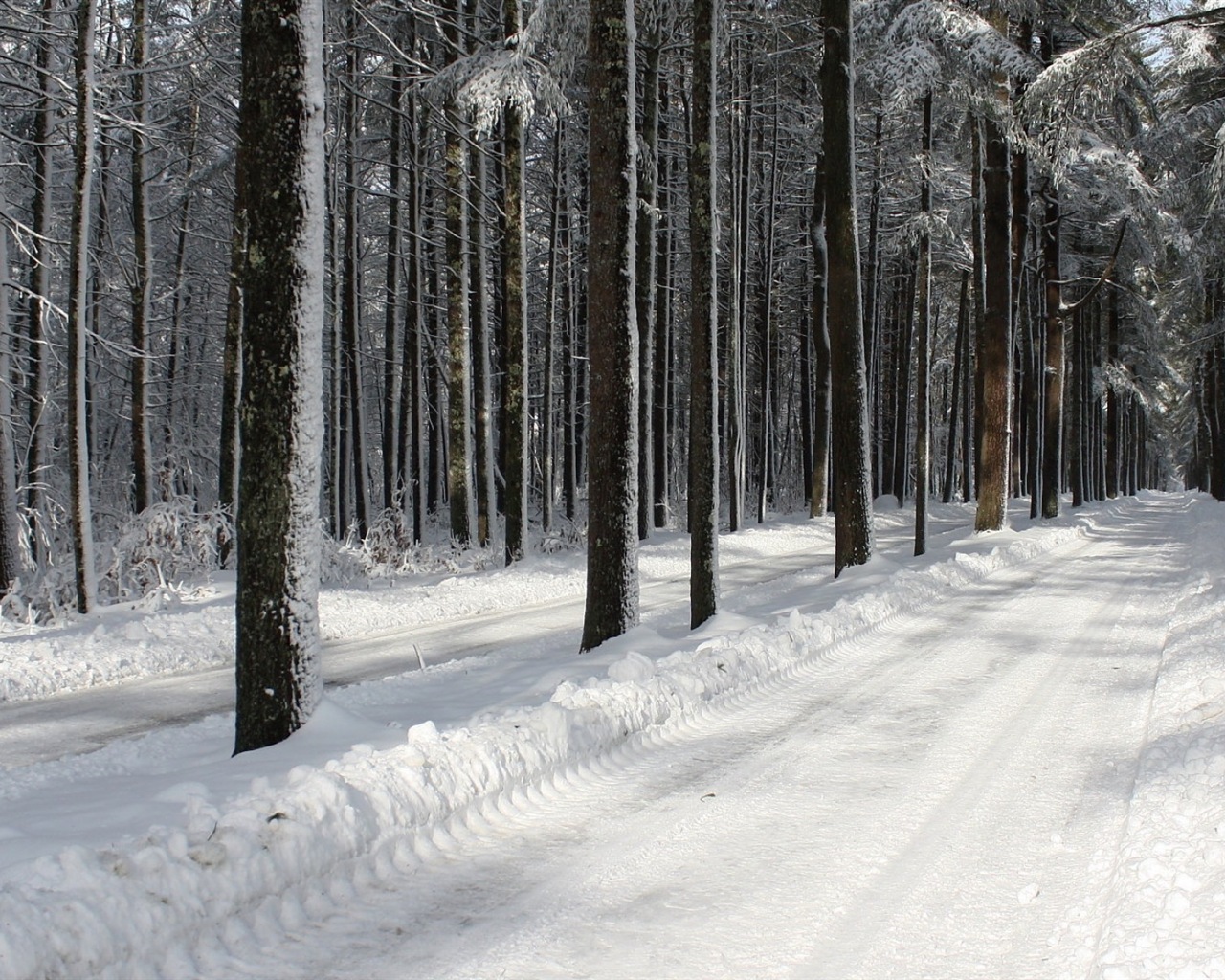Zima, sníh, hory, jezera, stromy, silnice HD tapety na plochu #3 - 1280x1024