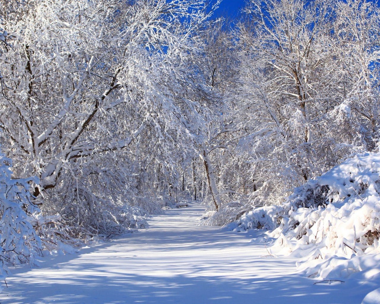 Zima, sníh, hory, jezera, stromy, silnice HD tapety na plochu #5 - 1280x1024