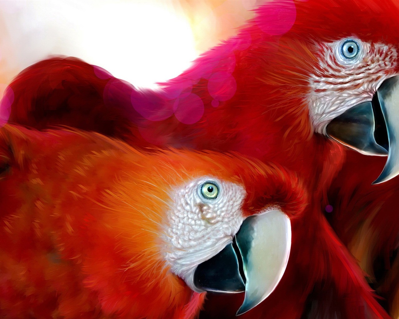 macaw close-up HD Tapety na plochu #28 - 1280x1024