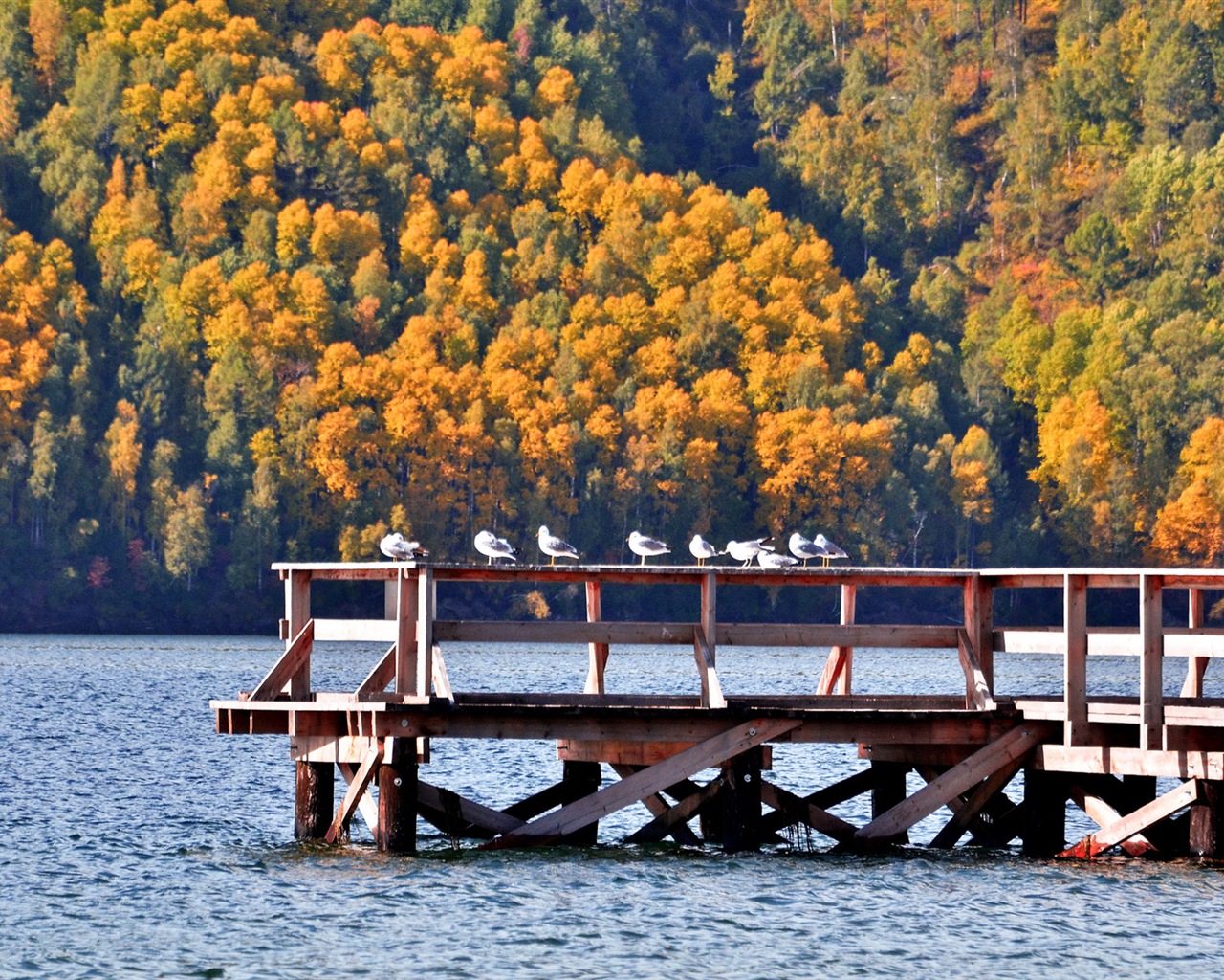 贝加尔湖 俄罗斯风景 高清壁纸7 - 1280x1024