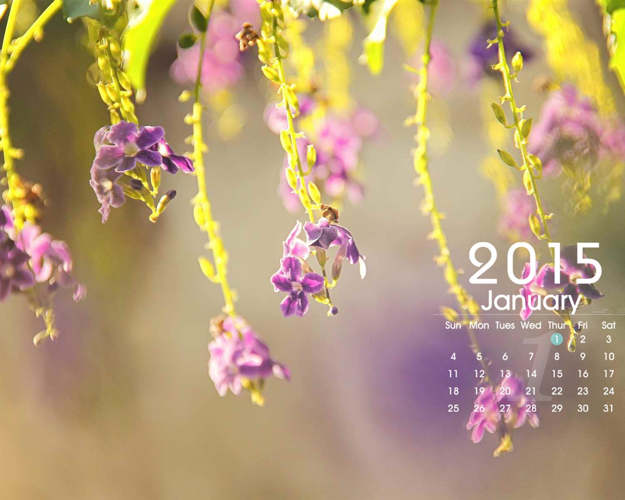 January 2015 calendar wallpaper (1) #1 - 1280x1024