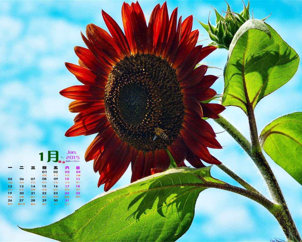 January 2015 calendar wallpaper (1) #14 - 1280x1024