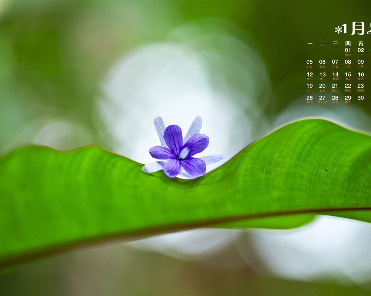 January 2015 calendar wallpaper (1) #18 - 1280x1024