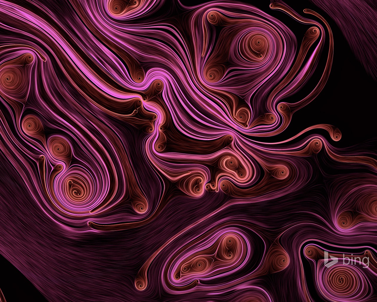 12. 2014 Bing HD tapety na plochu #9 - 1280x1024