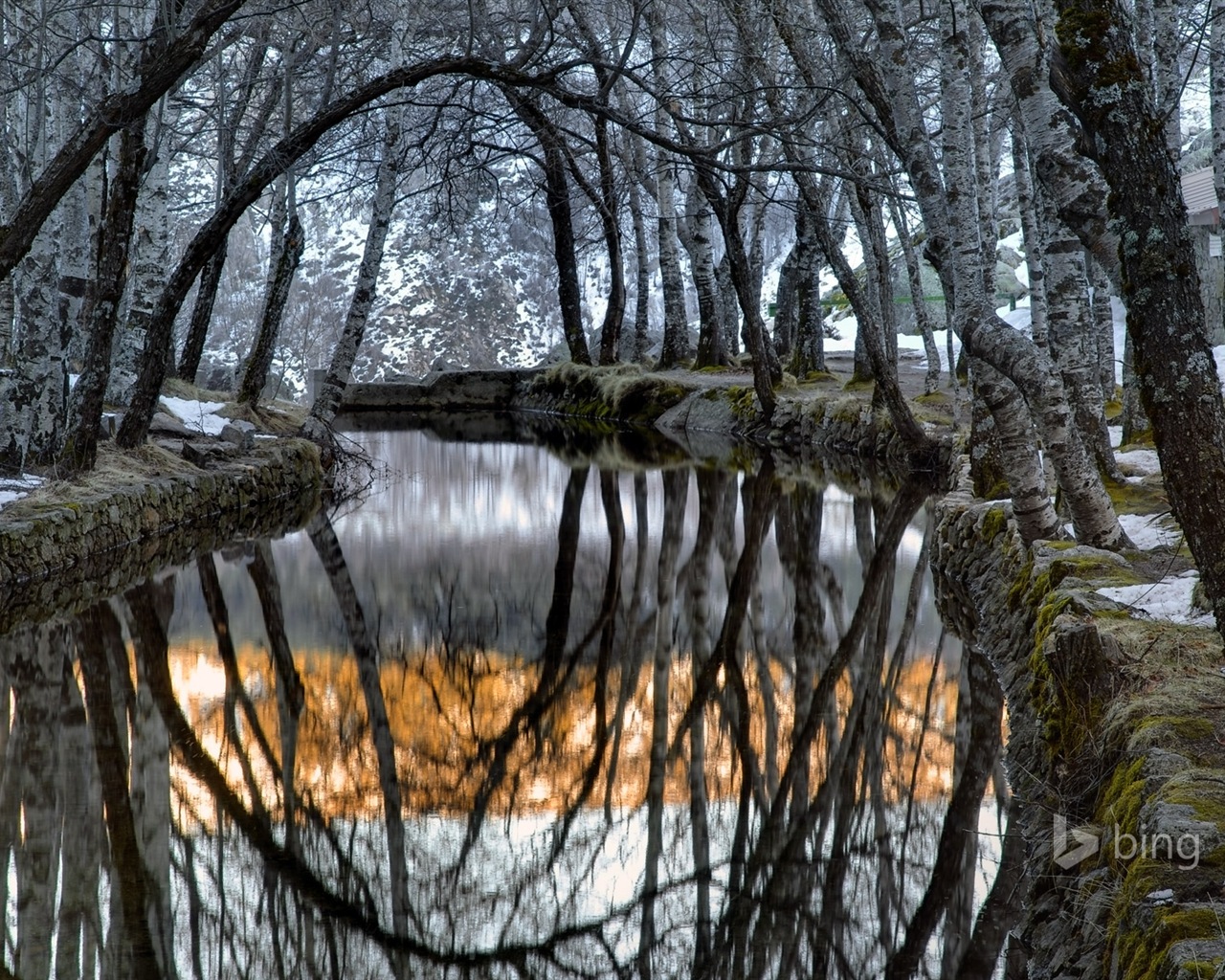 12. 2014 Bing HD tapety na plochu #11 - 1280x1024