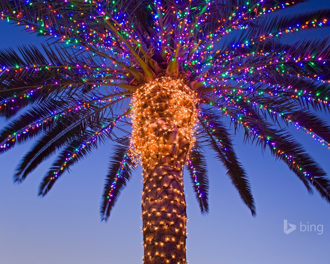 Décembre 2014 fonds d'écran HD Bing #23 - 1280x1024