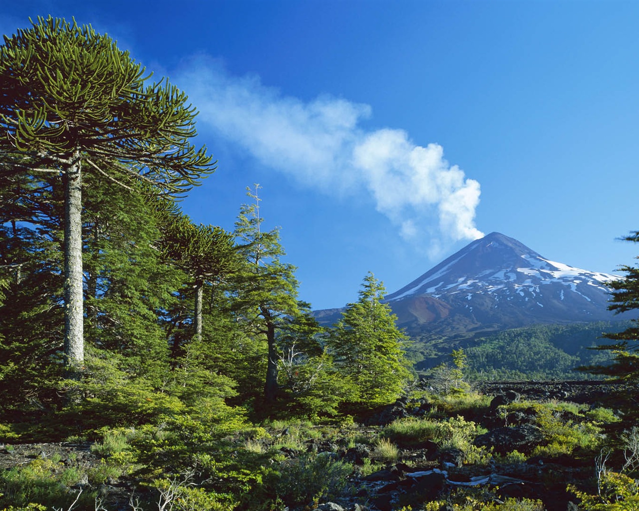 Fondos de pantalla seductora hermosa HD paisajes naturales #17 - 1280x1024