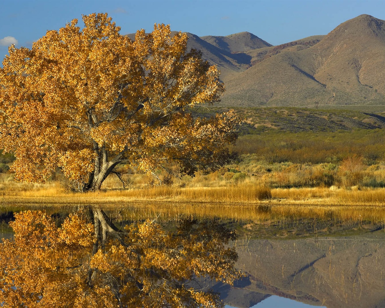 Verführerisch schöne Landschaft HD Wallpaper #19 - 1280x1024