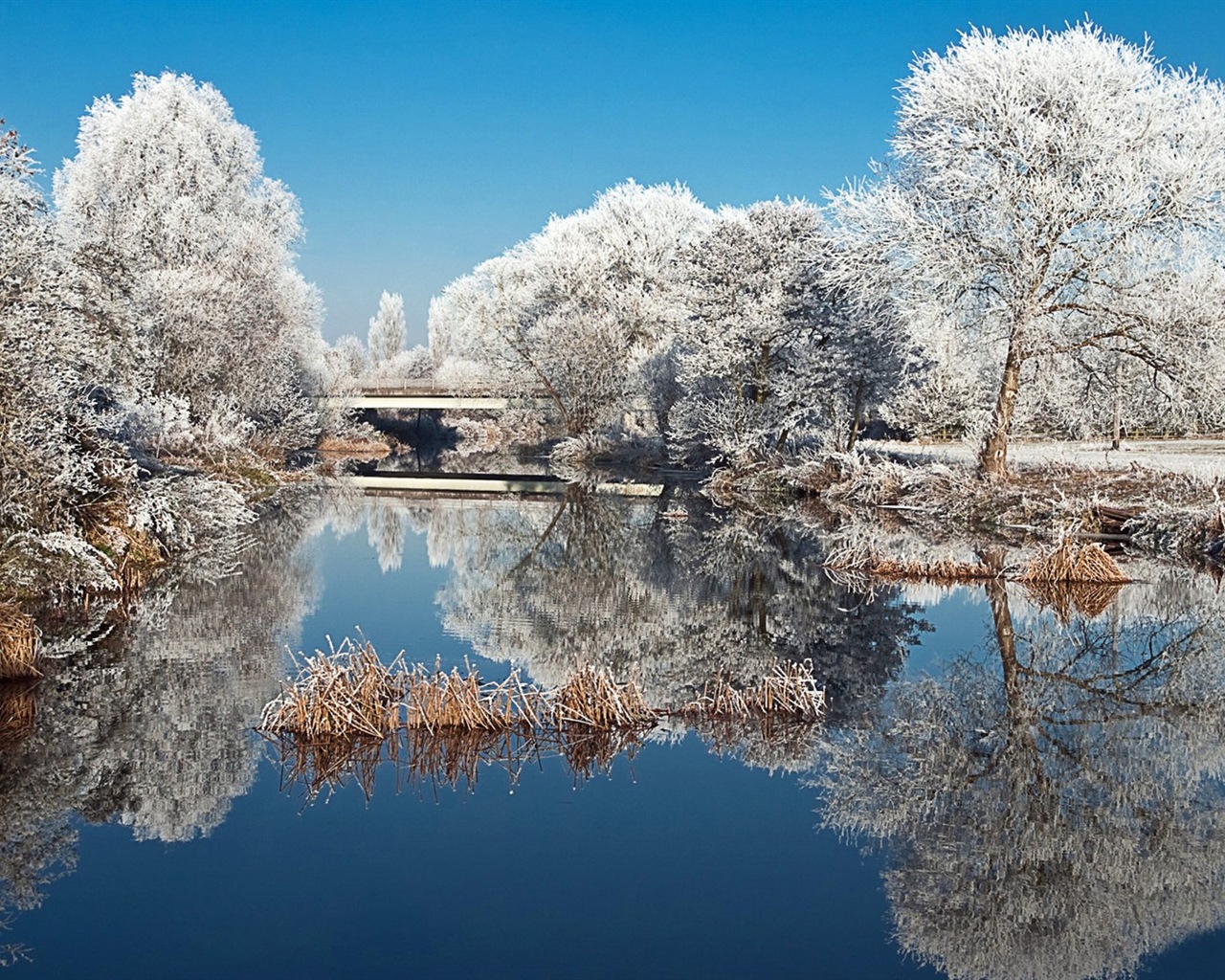 겨울 눈 아름다운 풍경의 HD 월페이퍼 #2 - 1280x1024