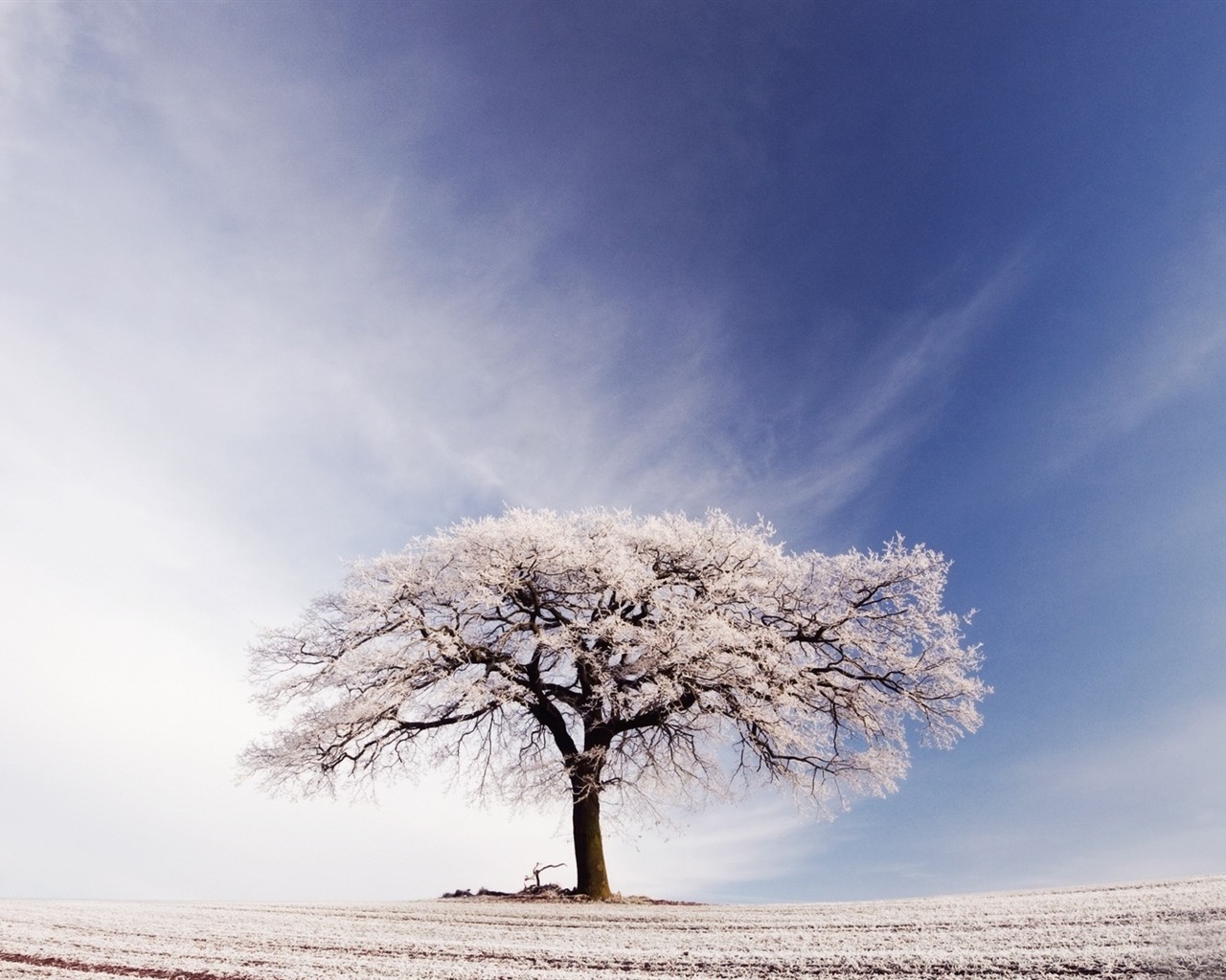 Neige d'hiver fonds d'écran HD magnifique de paysages #4 - 1280x1024
