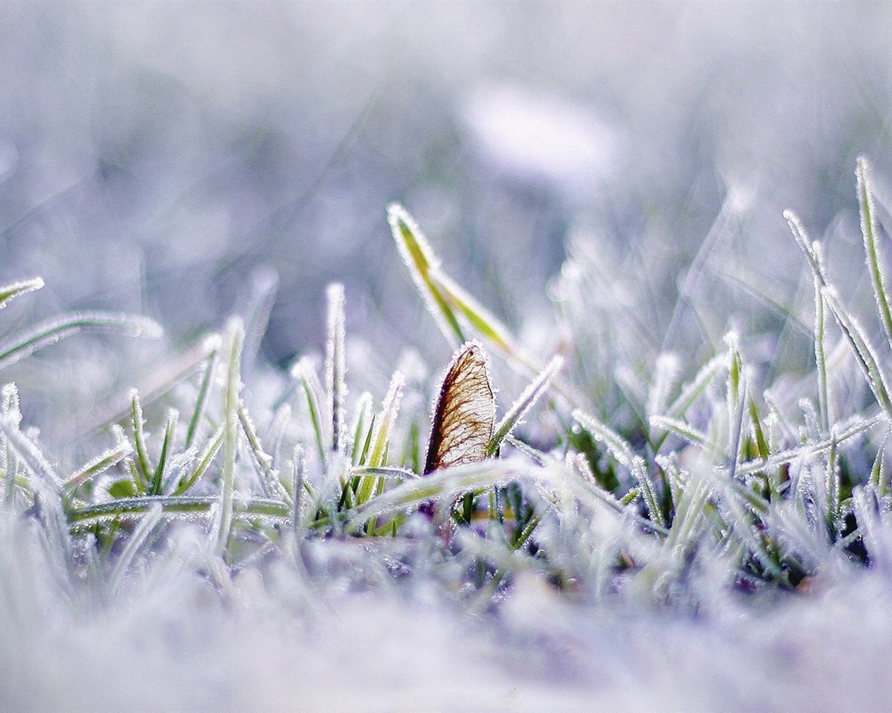 冬季冰雪美景 高清壁紙 #5 - 1280x1024