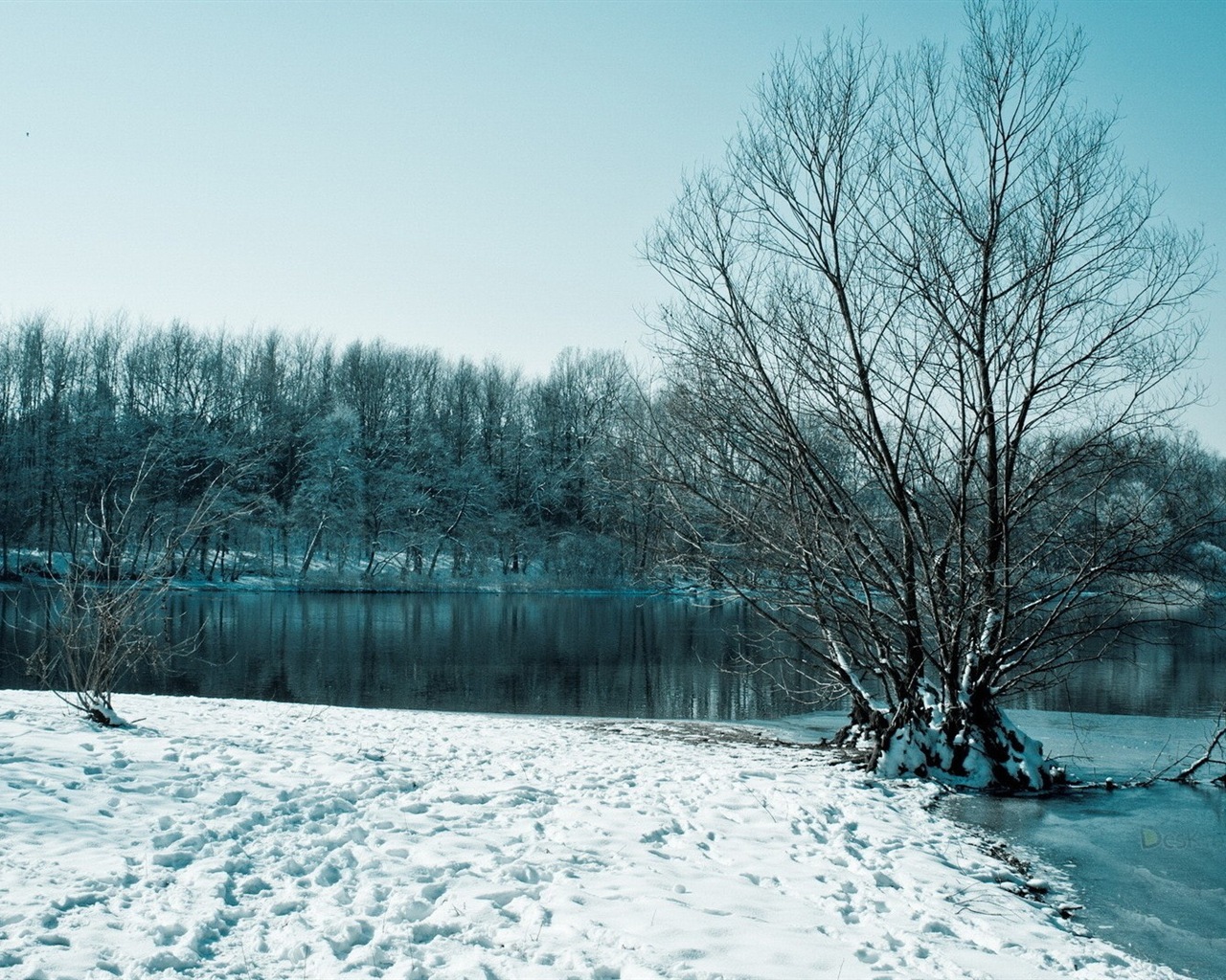 La nieve del invierno fondos de pantalla HD hermoso paisaje #6 - 1280x1024