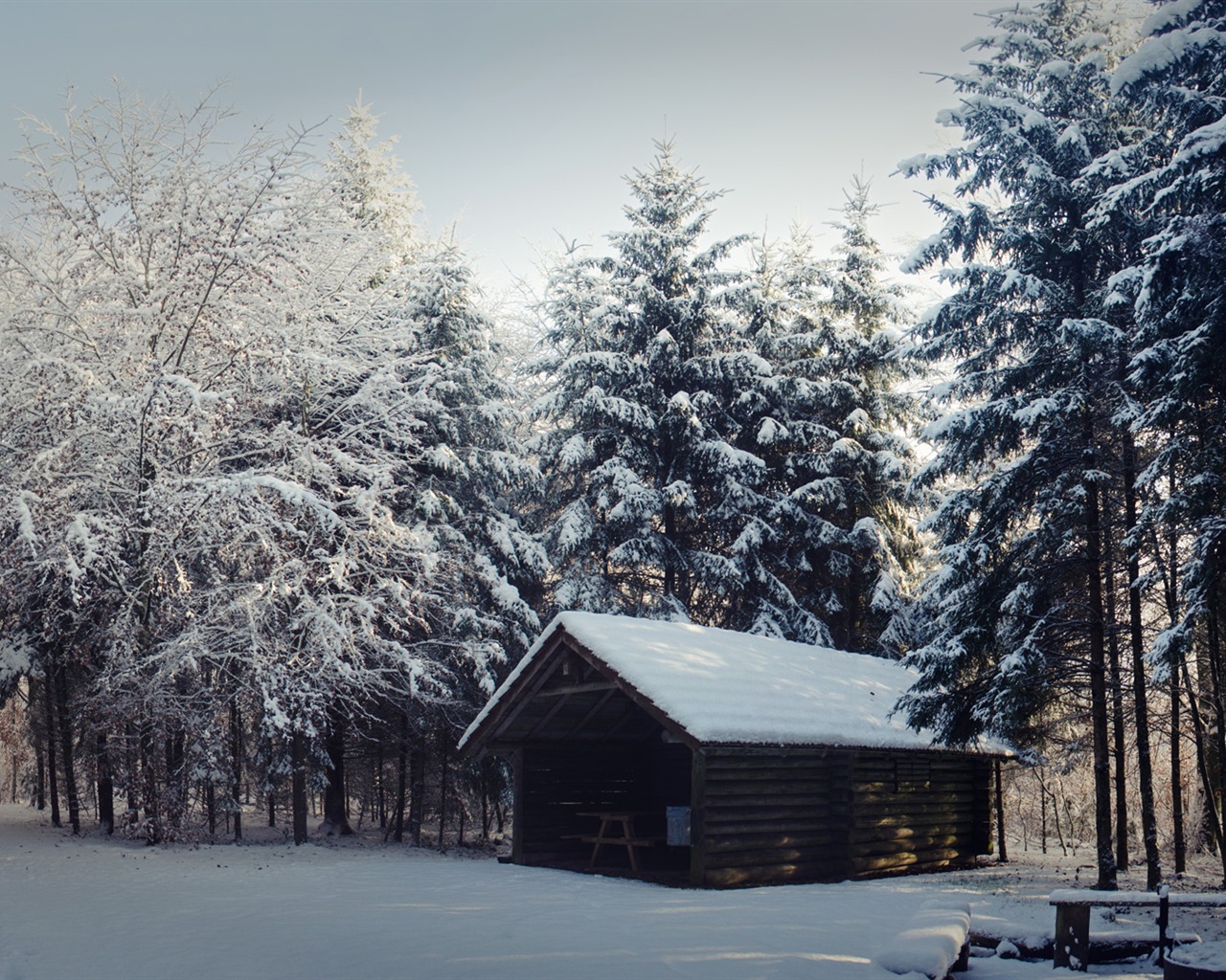 겨울 눈 아름다운 풍경의 HD 월페이퍼 #12 - 1280x1024