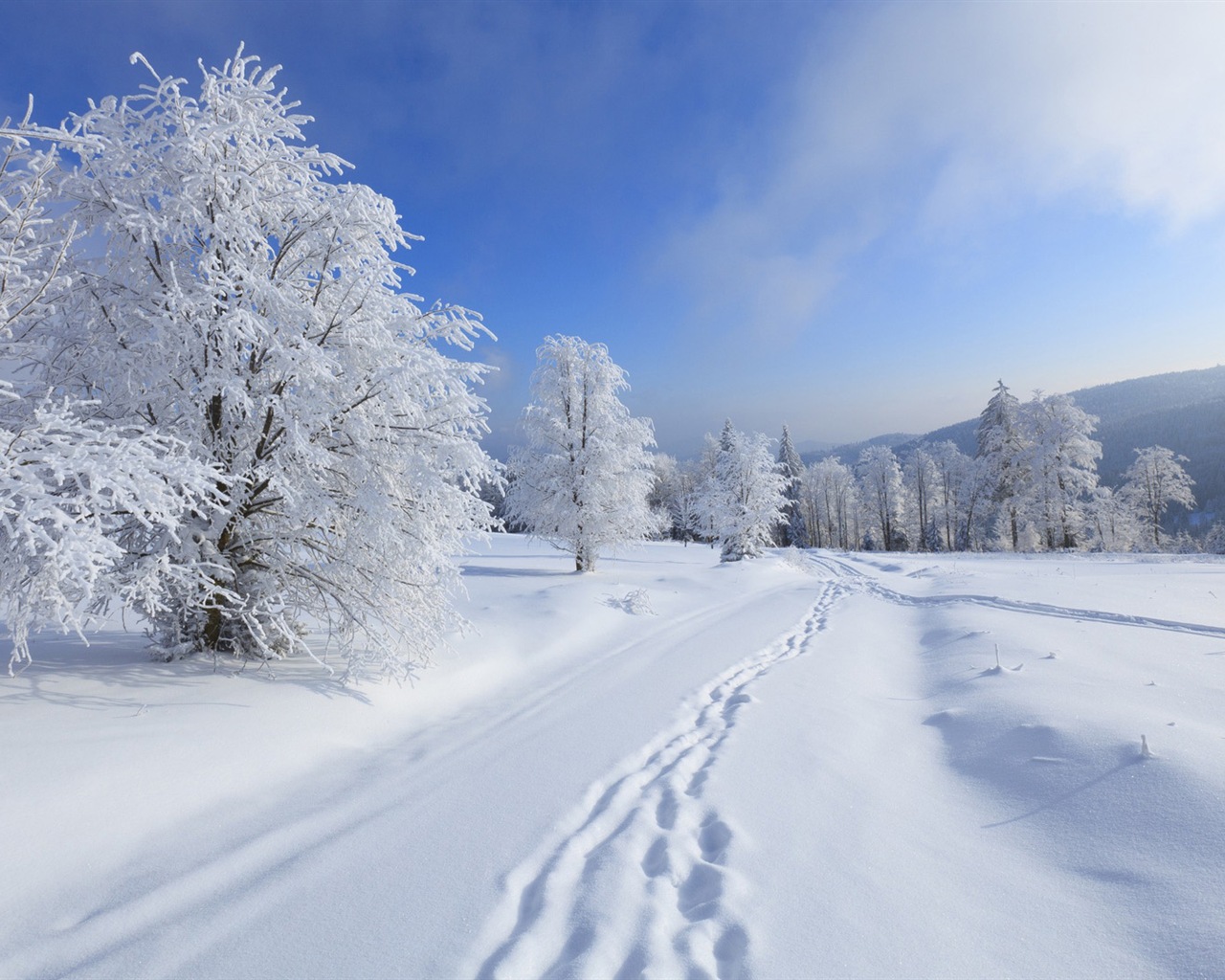 La nieve del invierno fondos de pantalla HD hermoso paisaje #14 - 1280x1024