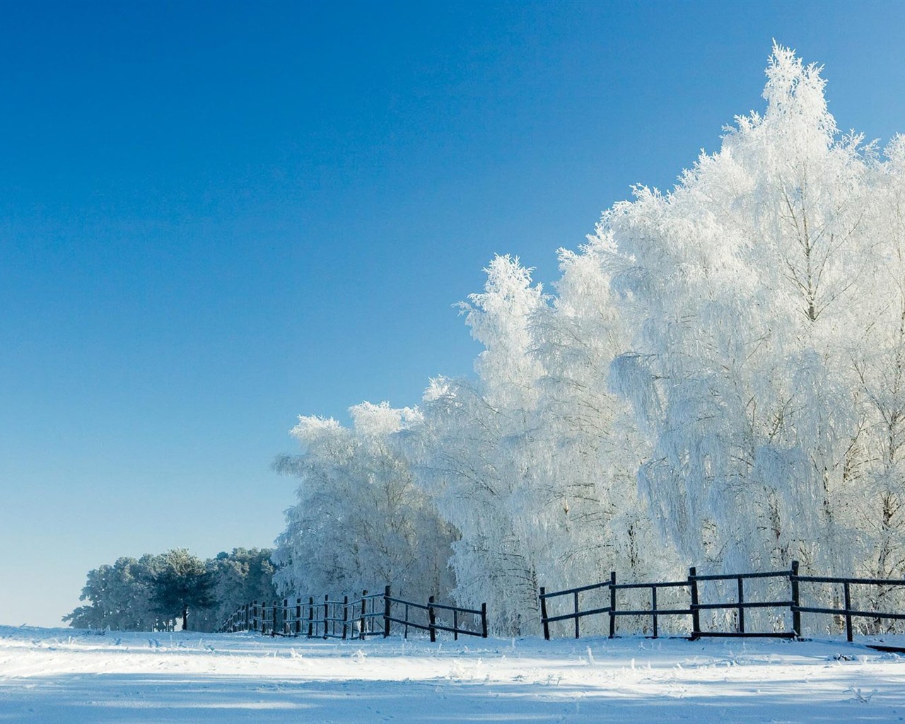 겨울 눈 아름다운 풍경의 HD 월페이퍼 #15 - 1280x1024