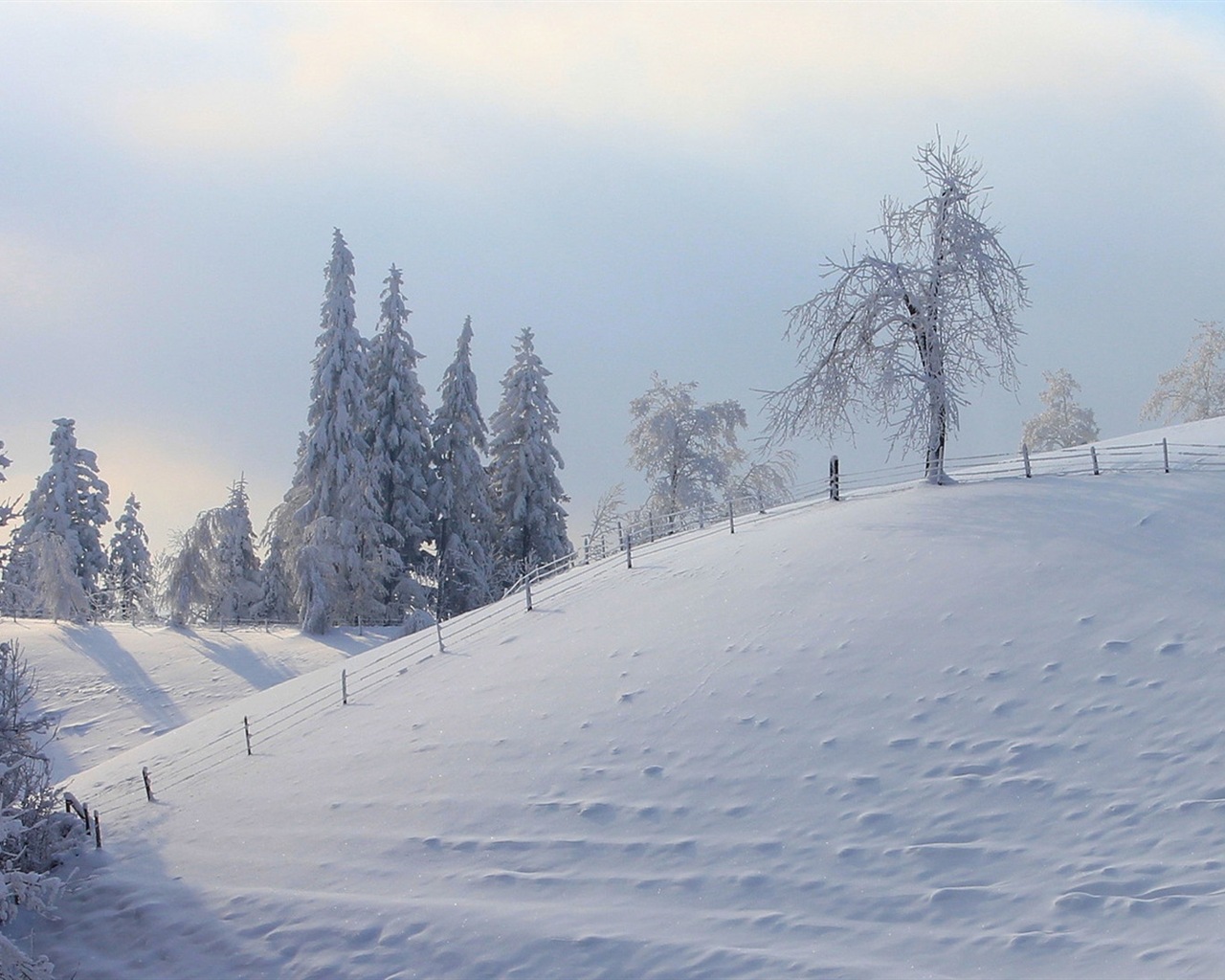 Neige d'hiver fonds d'écran HD magnifique de paysages #16 - 1280x1024