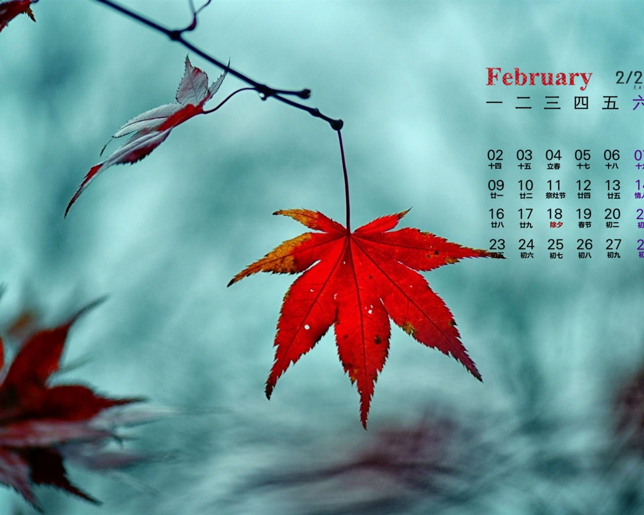 Februar 2015 Kalender Wallpaper (1) #9 - 1280x1024