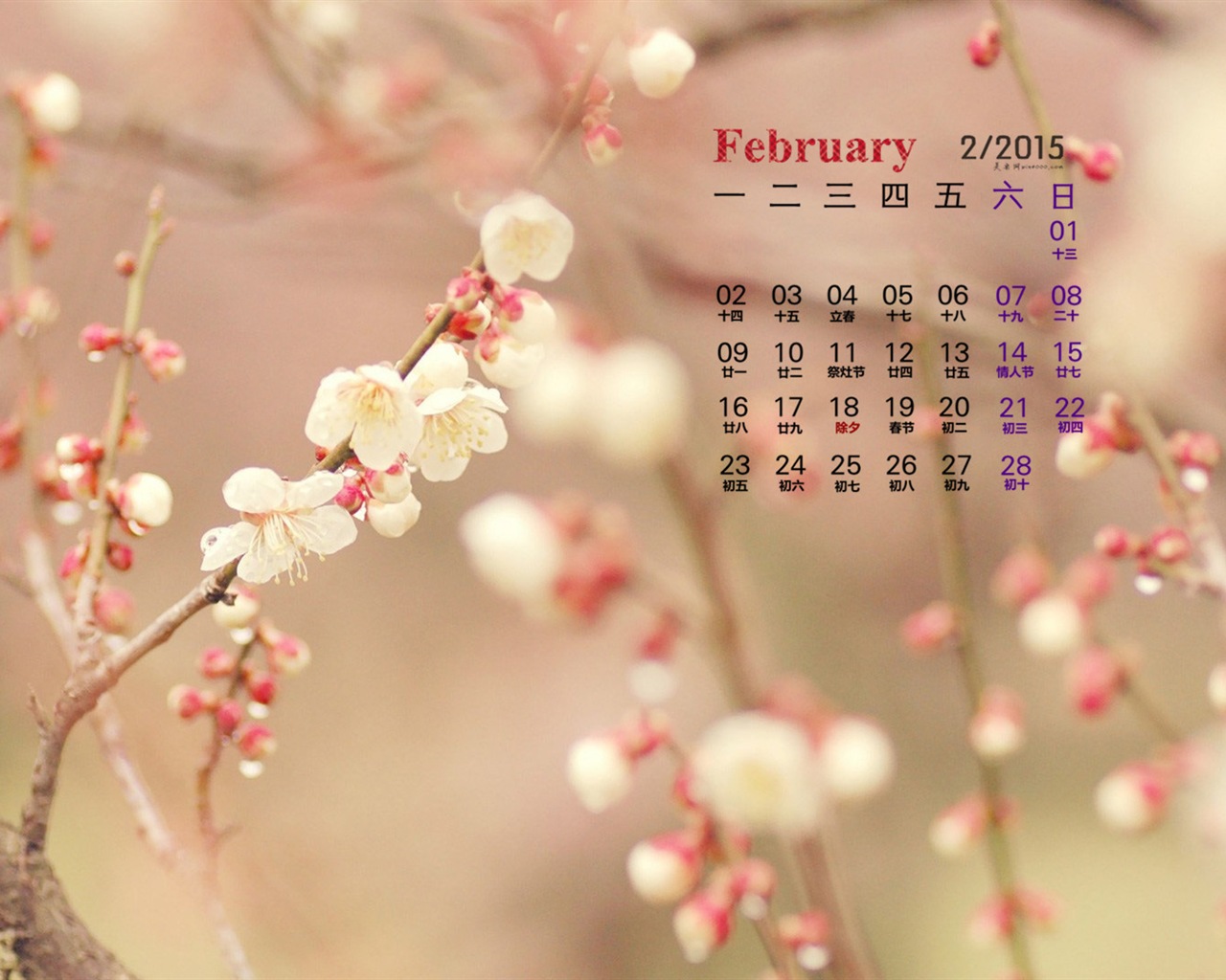 Februar 2015 Kalender Wallpaper (1) #12 - 1280x1024
