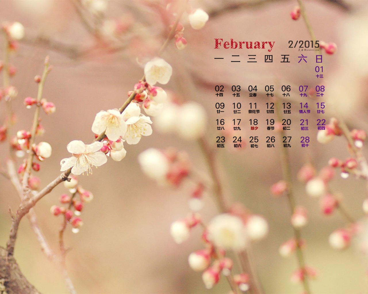 2015年2月 月曆壁紙(一) #12 - 1280x1024
