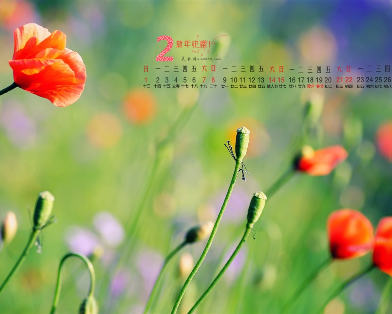 Februar 2015 Kalender Wallpaper (1) #13 - 1280x1024