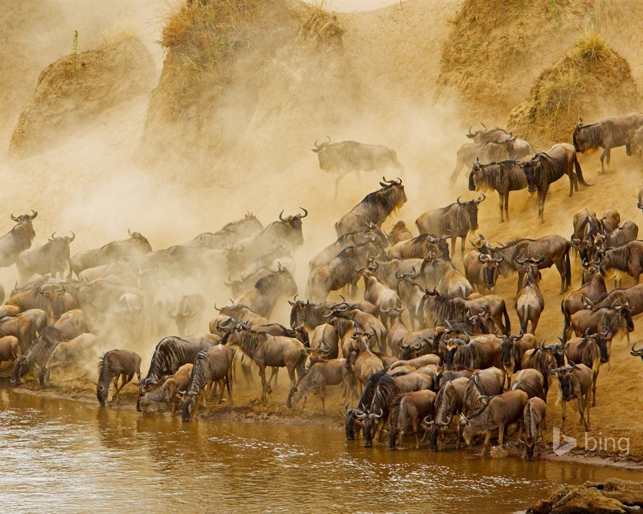 Janvier 2015 fonds d'écran HD Bing #17 - 1280x1024