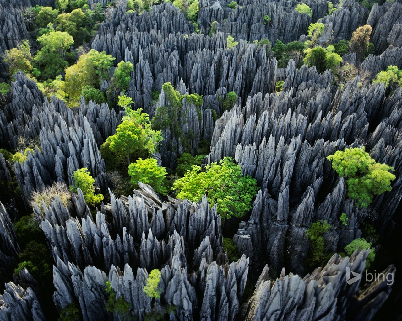 Janvier 2015 fonds d'écran HD Bing #29 - 1280x1024