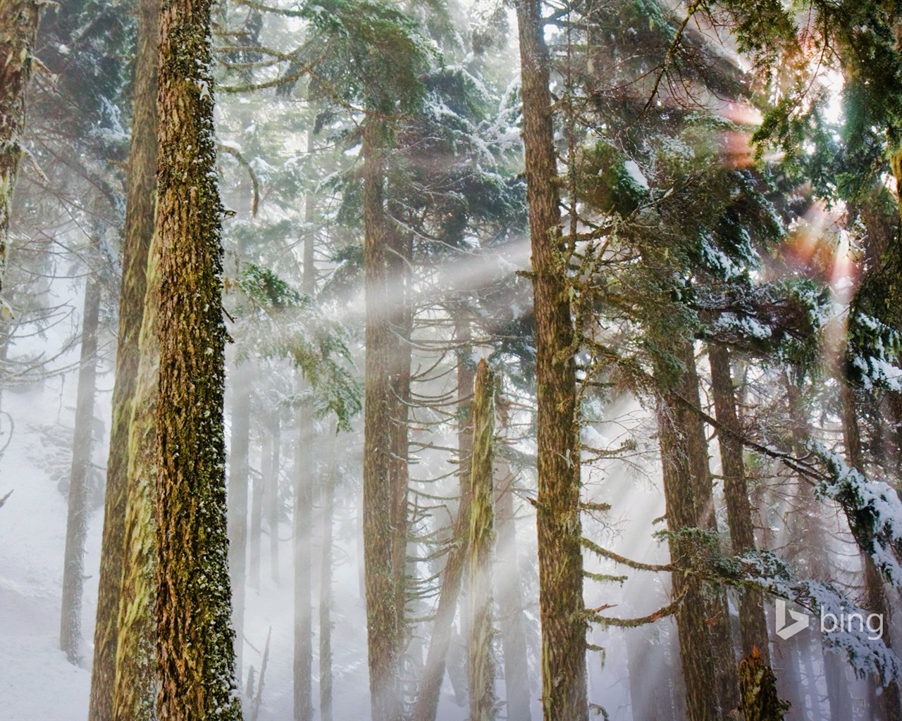 Janvier 2015 fonds d'écran HD Bing #30 - 1280x1024