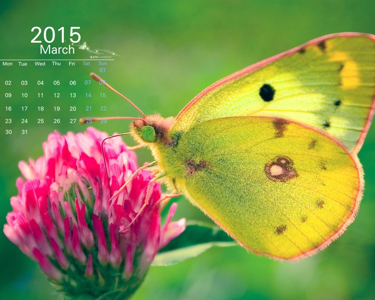 March 2015 Calendar wallpaper (1) #1 - 1280x1024