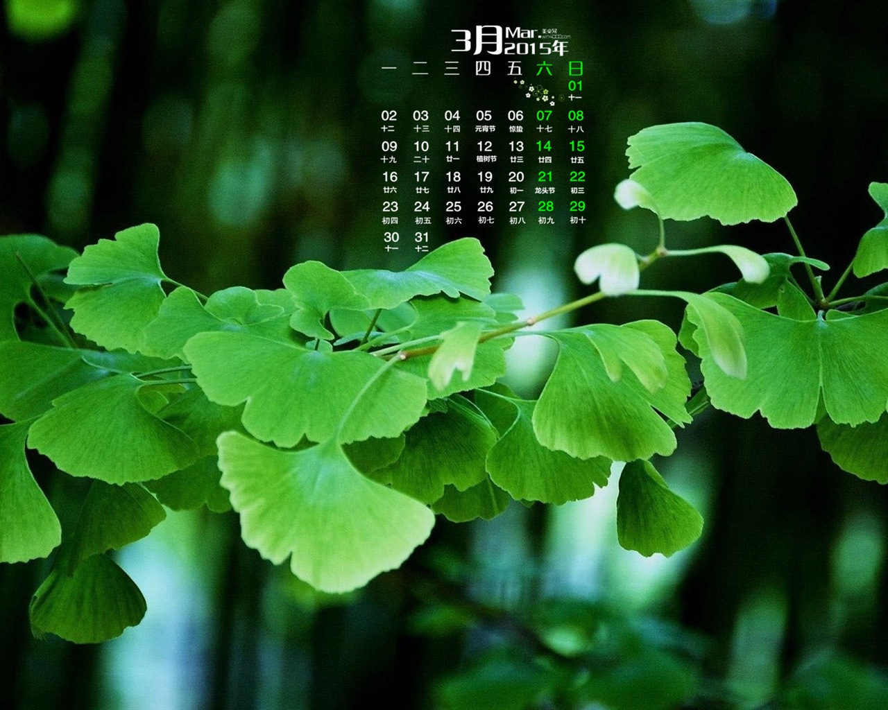 2015年3月 月曆壁紙(一) #2 - 1280x1024