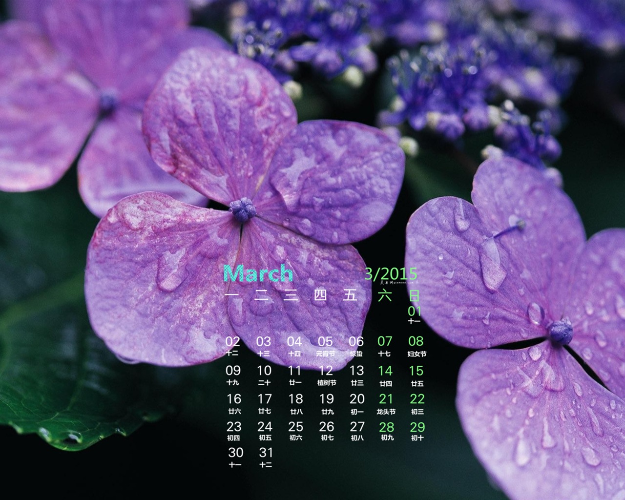 March 2015 Calendar wallpaper (1) #5 - 1280x1024