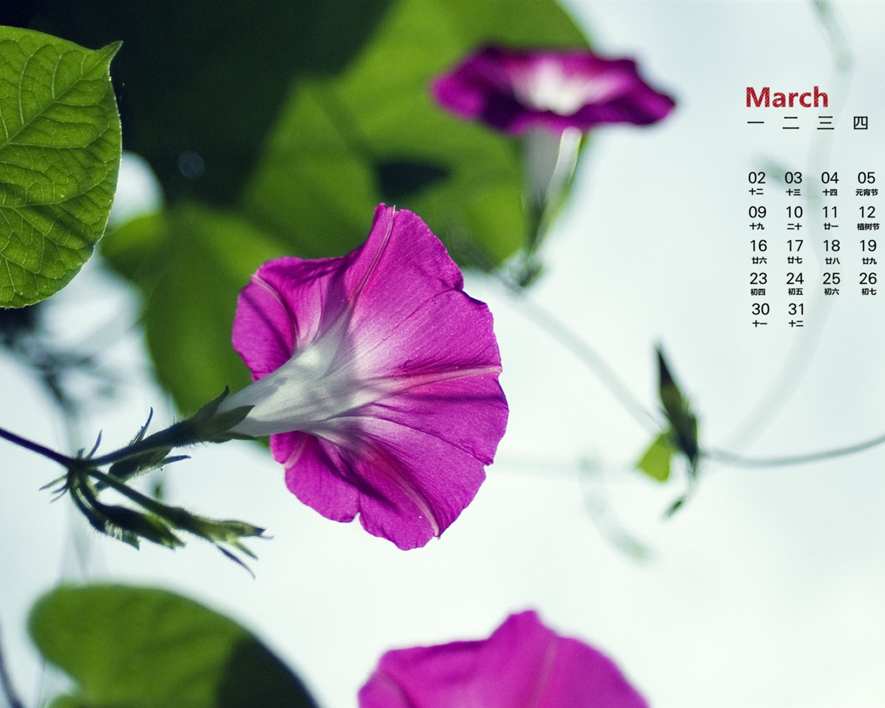 March 2015 Calendar wallpaper (1) #14 - 1280x1024