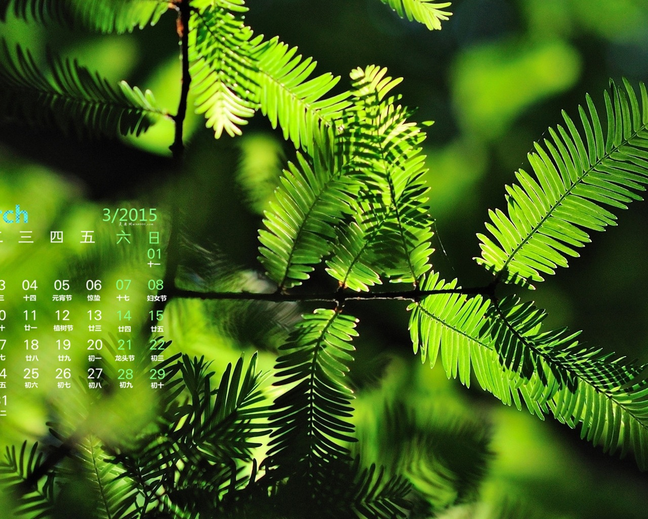 March 2015 Calendar wallpaper (1) #18 - 1280x1024