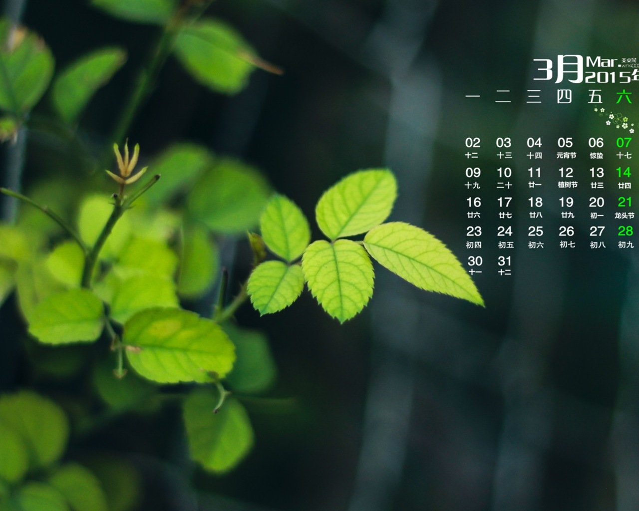 March 2015 Calendar wallpaper (1) #19 - 1280x1024