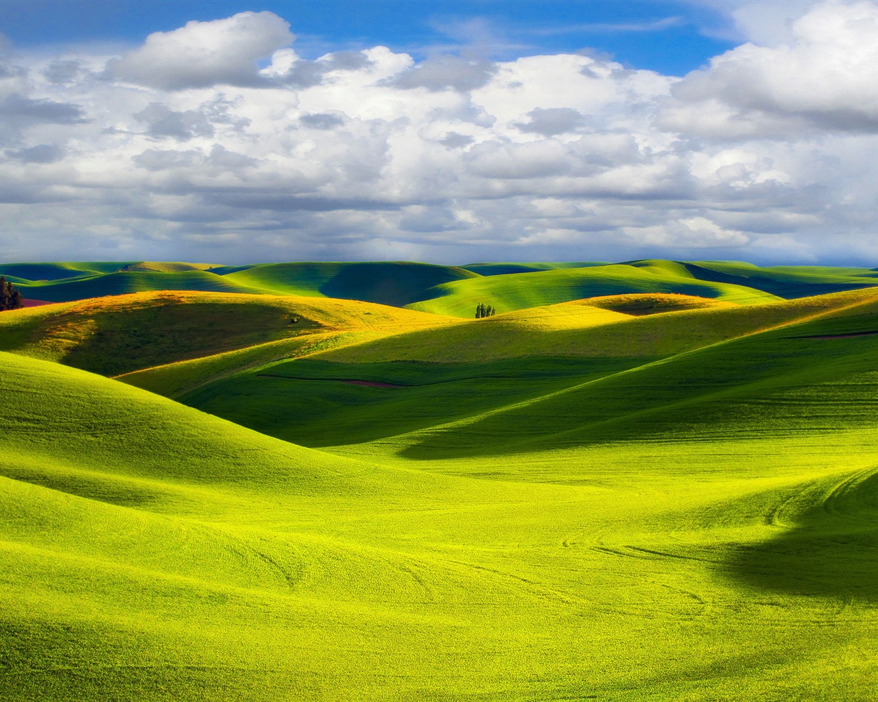 Belle couleur, décor naturel de fonds d'écran HD #9 - 1280x1024