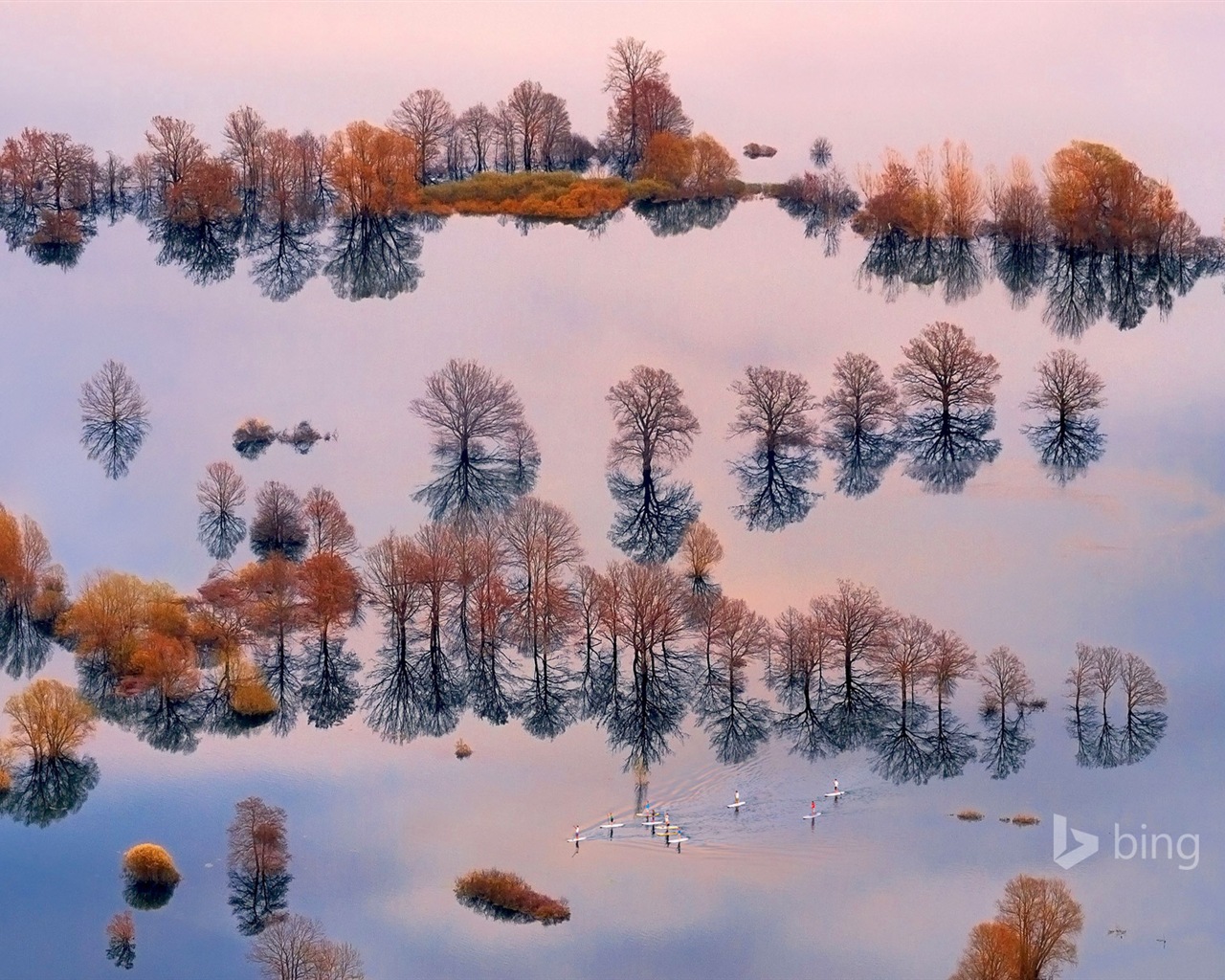 Février 2015 fonds d'écran HD Bing #15 - 1280x1024