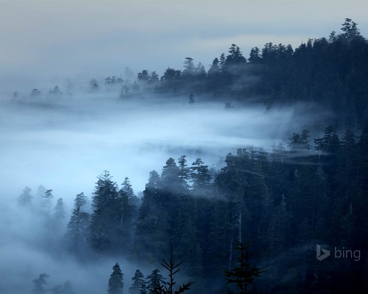 Février 2015 fonds d'écran HD Bing #22 - 1280x1024