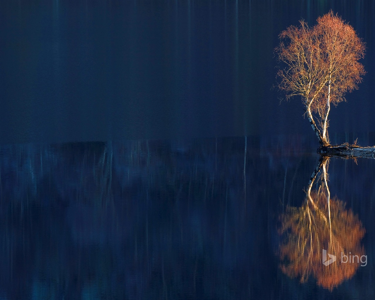 02. 2015 Bing HD tapety na plochu #25 - 1280x1024