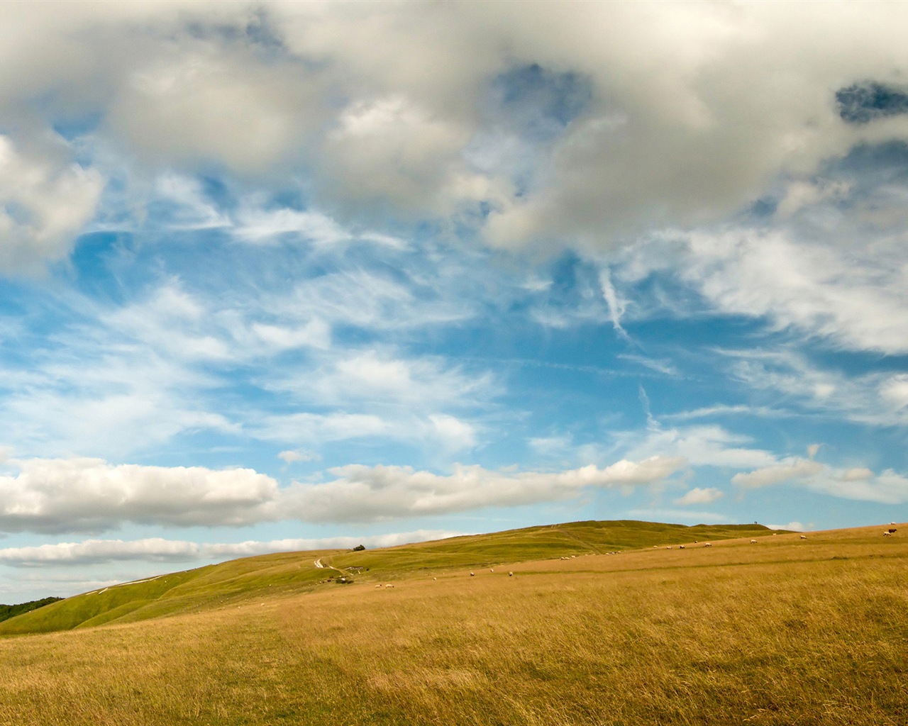 Paysage rural, Windows 8 fonds d'écran HD #5 - 1280x1024