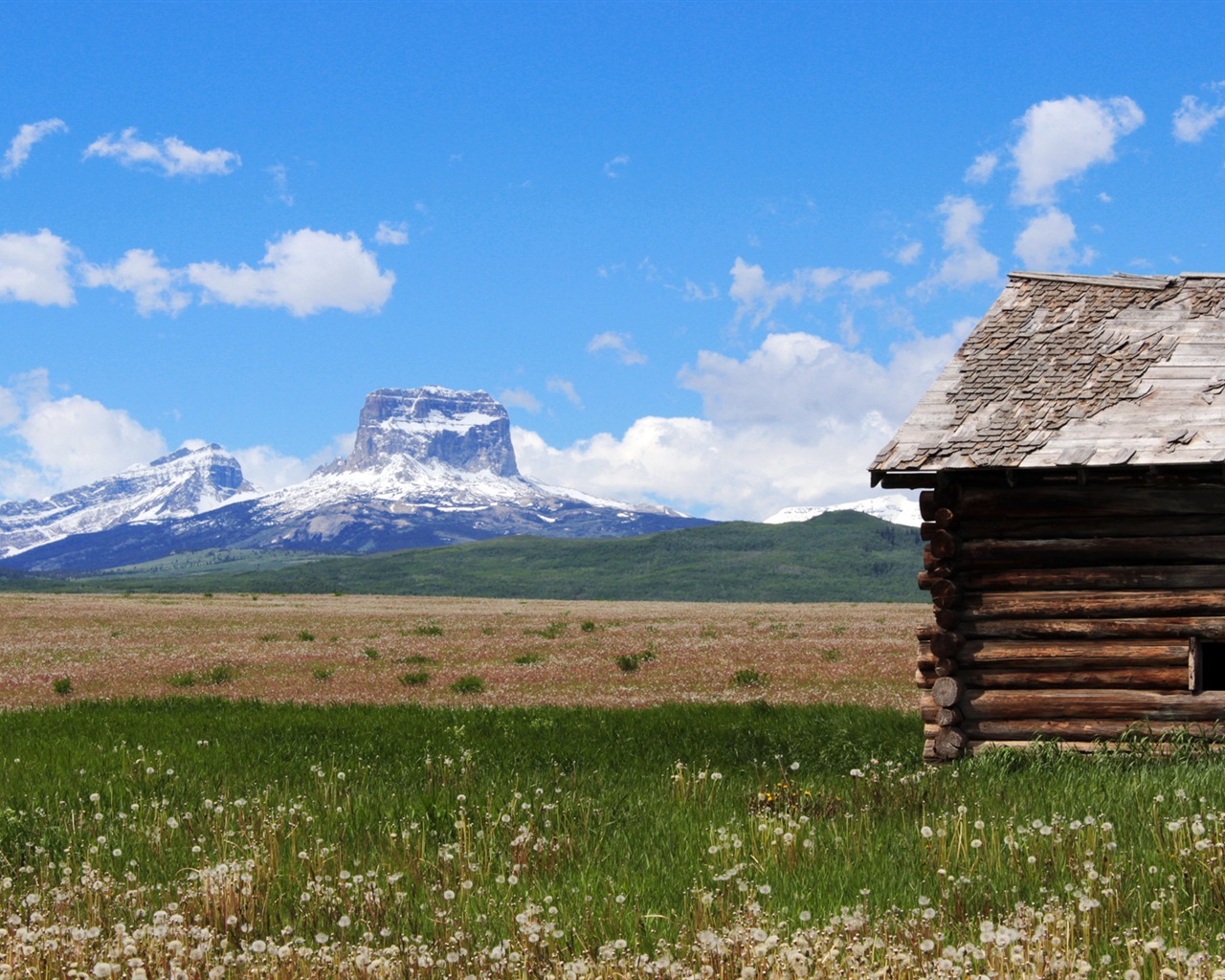 田園風景、Windows 8のHDの壁紙 #18 - 1280x1024