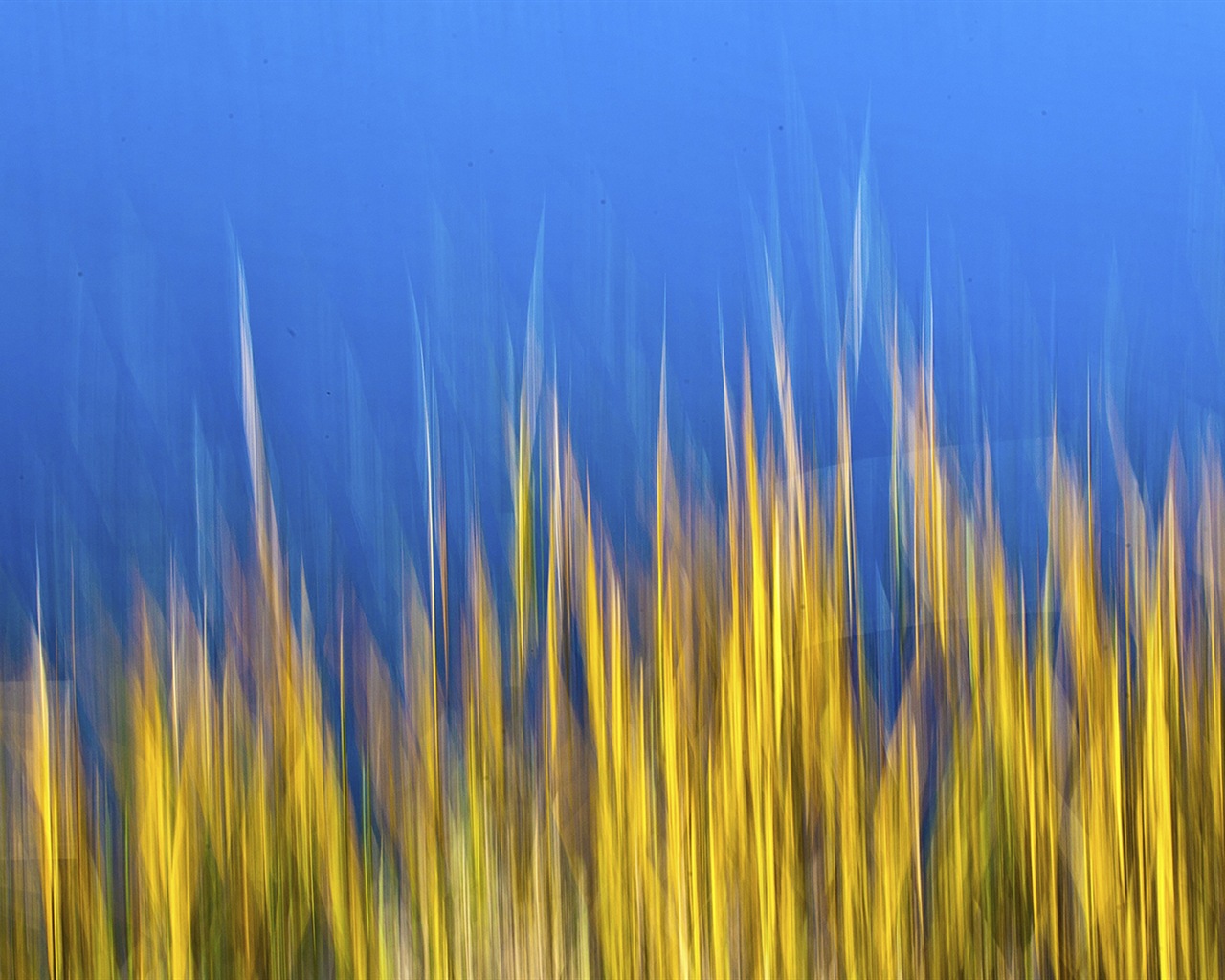 Windows 10 預覽版高清壁紙 #23 - 1280x1024