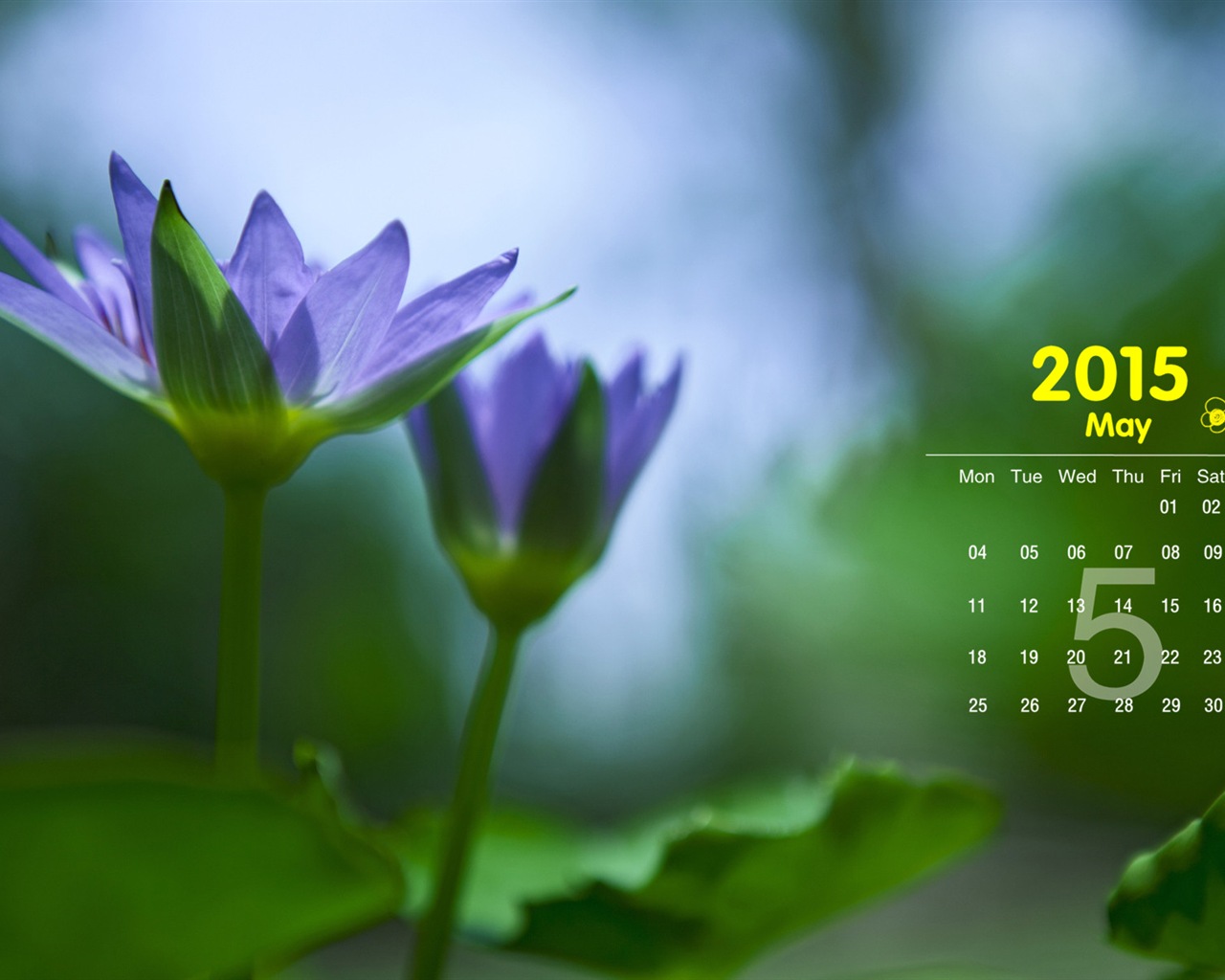 Mai 2015 Kalender Wallpaper (1) #1 - 1280x1024