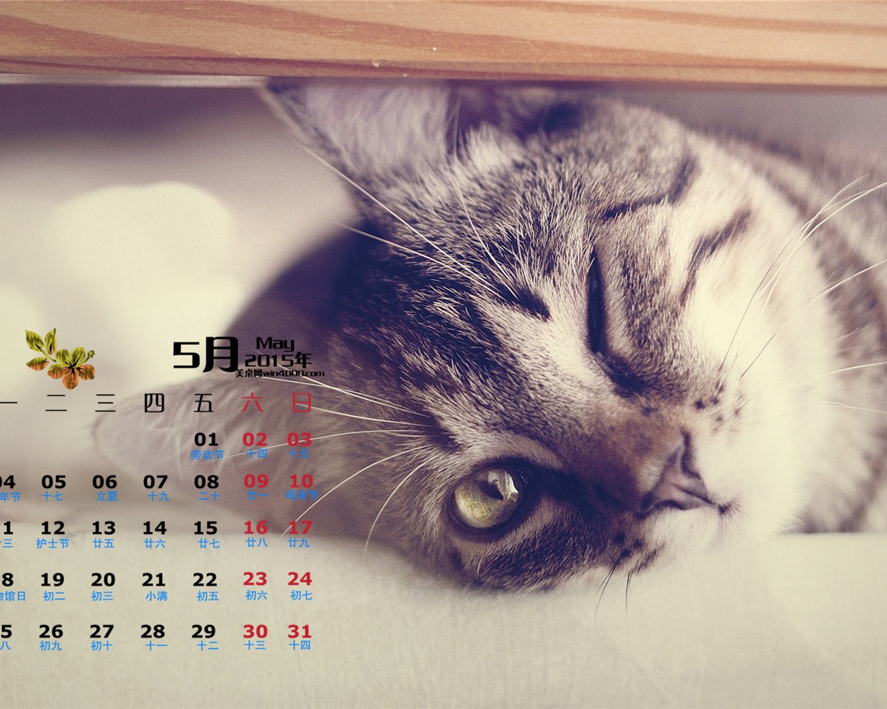 Mai 2015 Kalender Wallpaper (1) #14 - 1280x1024