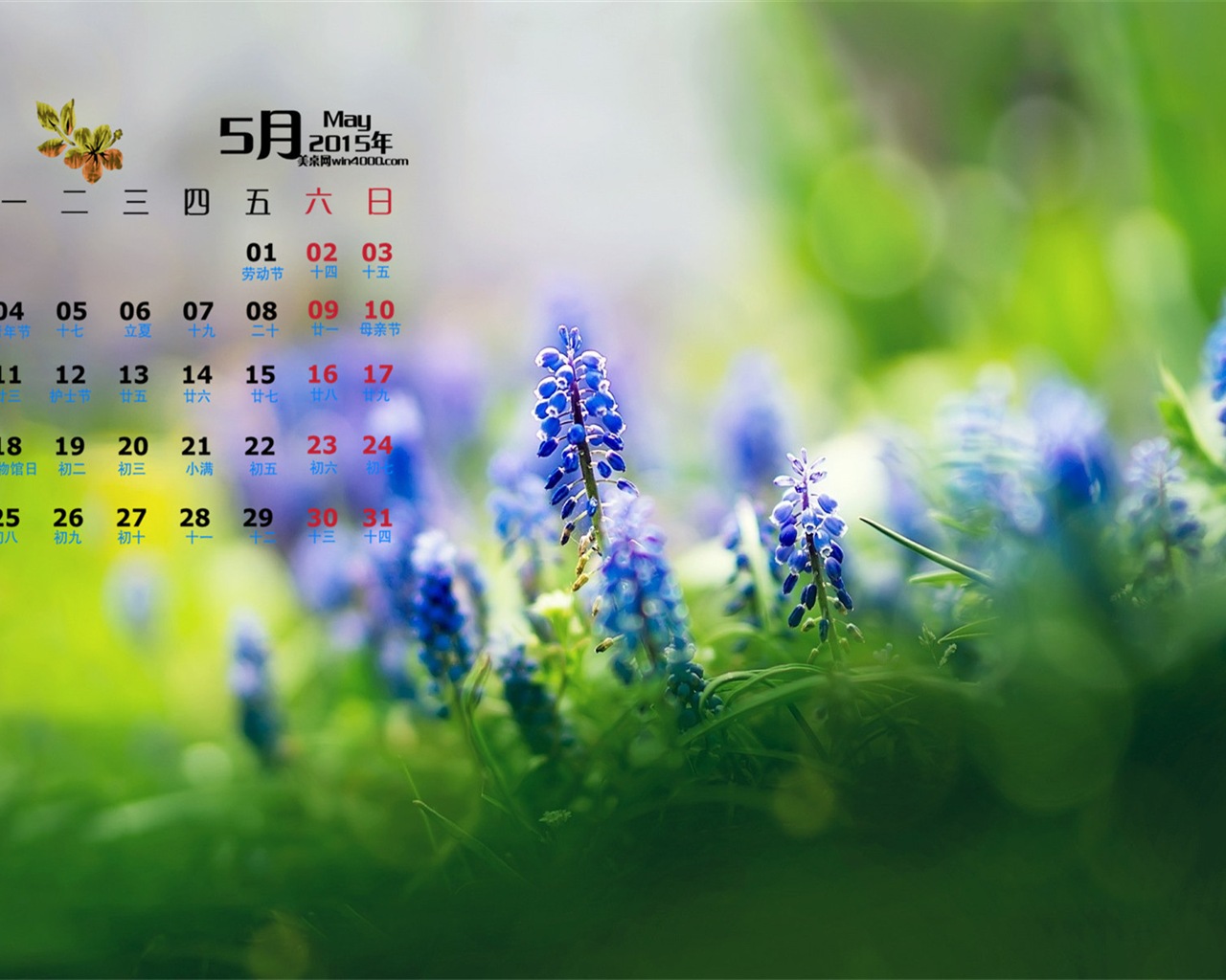 Mai 2015 Kalender Wallpaper (1) #16 - 1280x1024