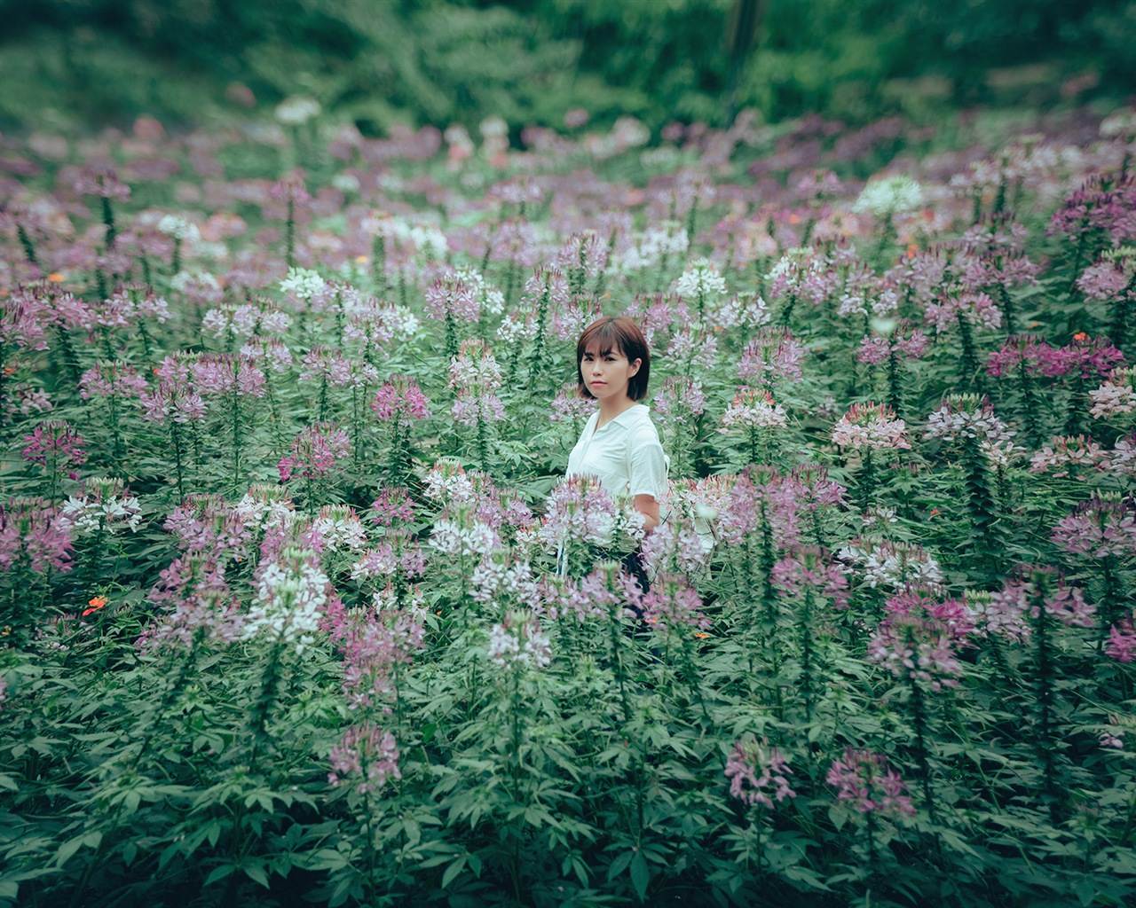 Čisté dívka tapety #8 - 1280x1024