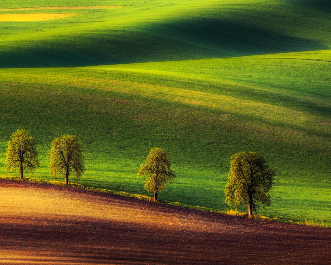 Windows-10 Vorschau Wallpapers Pack (3) #8 - 1280x1024