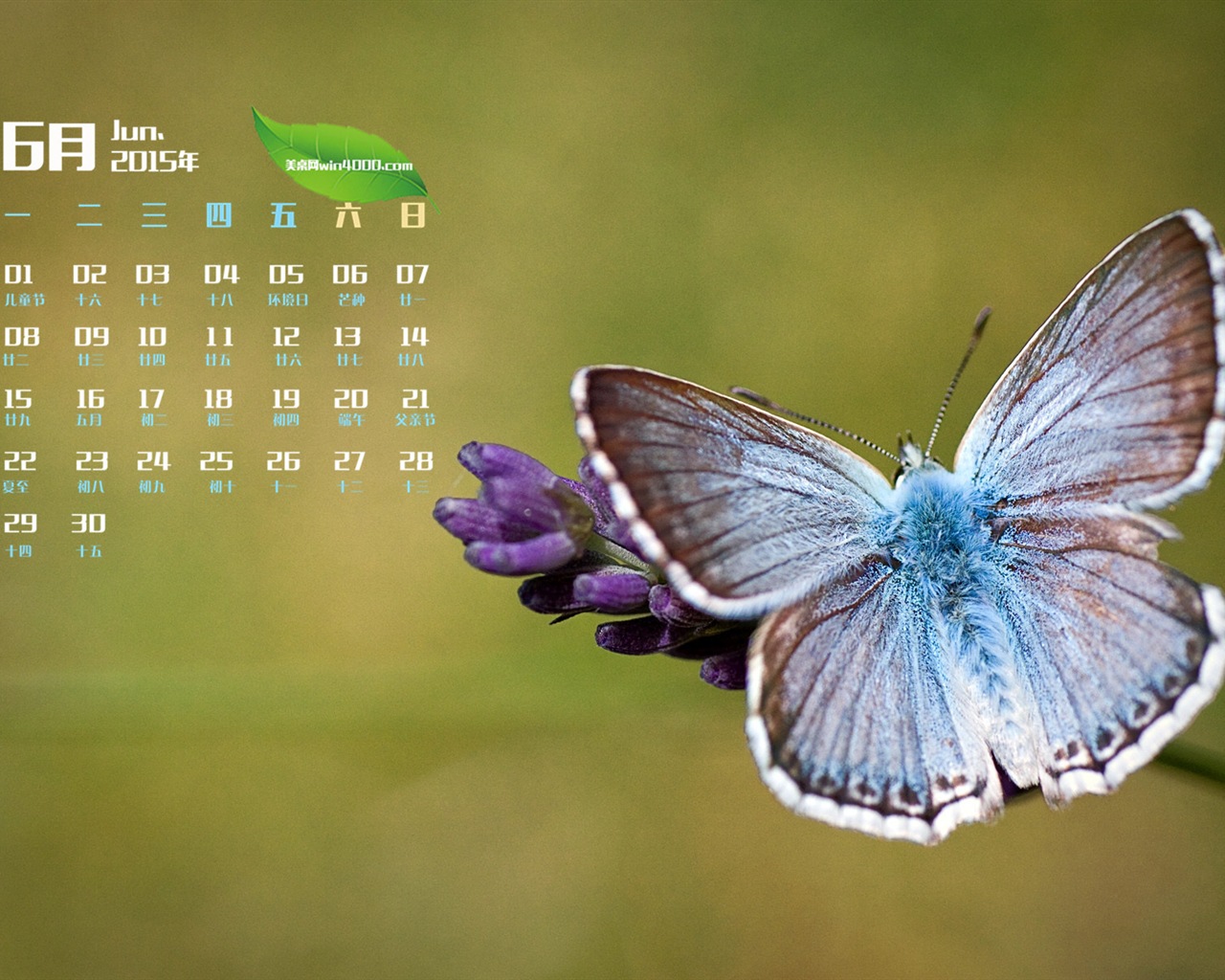 June 2015 calendar wallpaper (1) #6 - 1280x1024