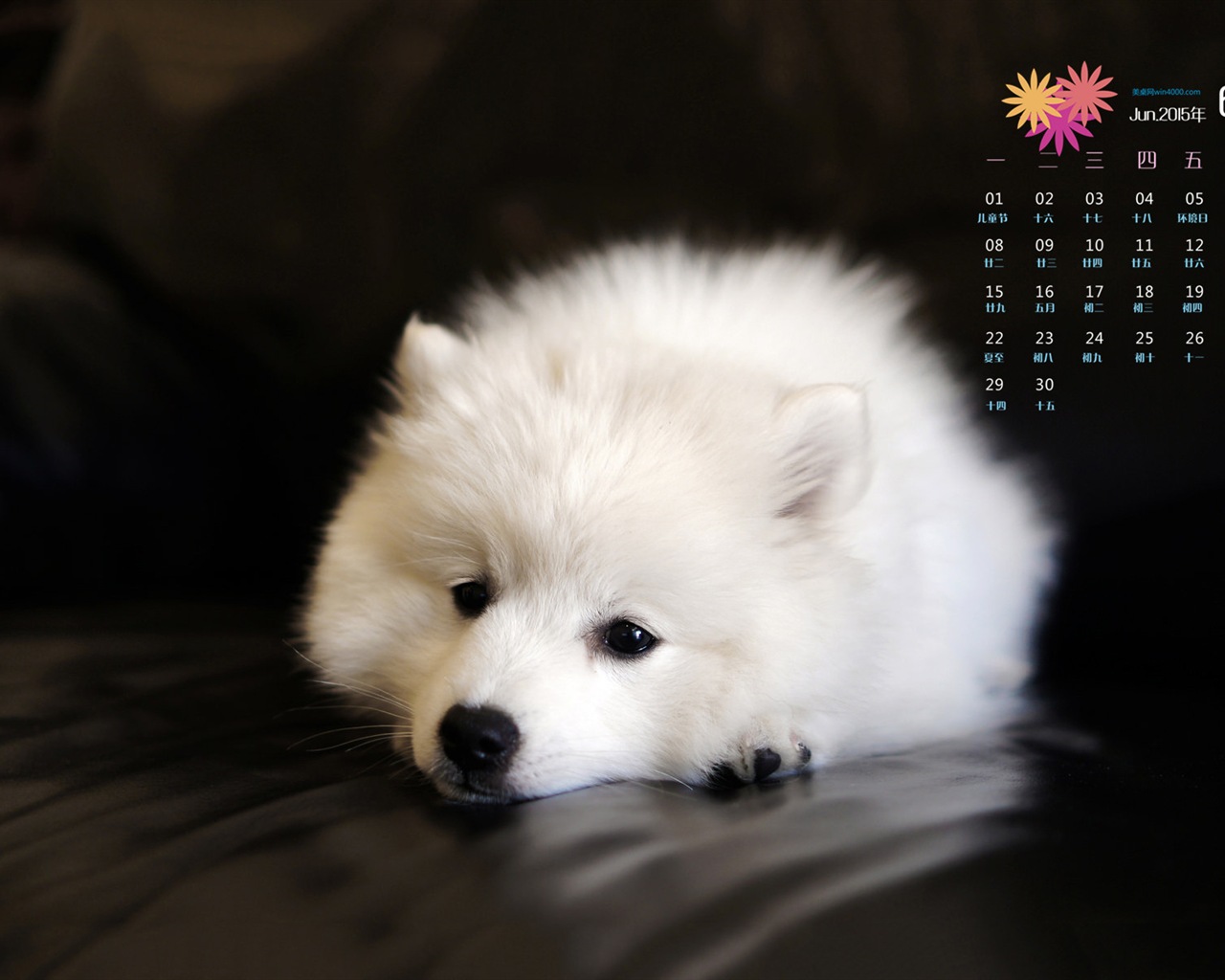 Juni 2015 Kalender Wallpaper (1) #9 - 1280x1024