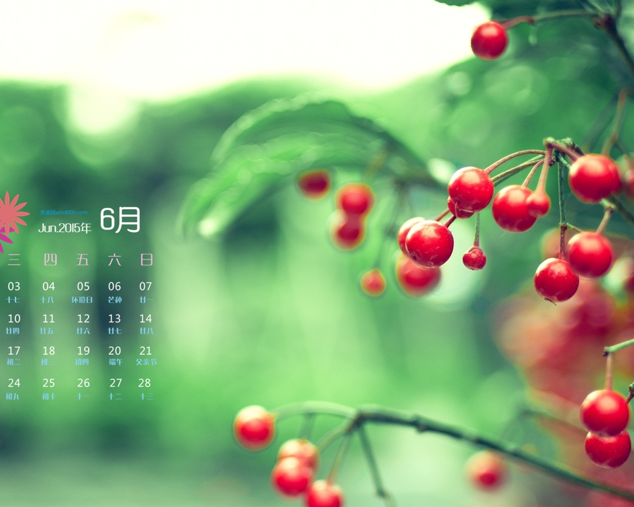 Juni 2015 Kalender Wallpaper (1) #10 - 1280x1024