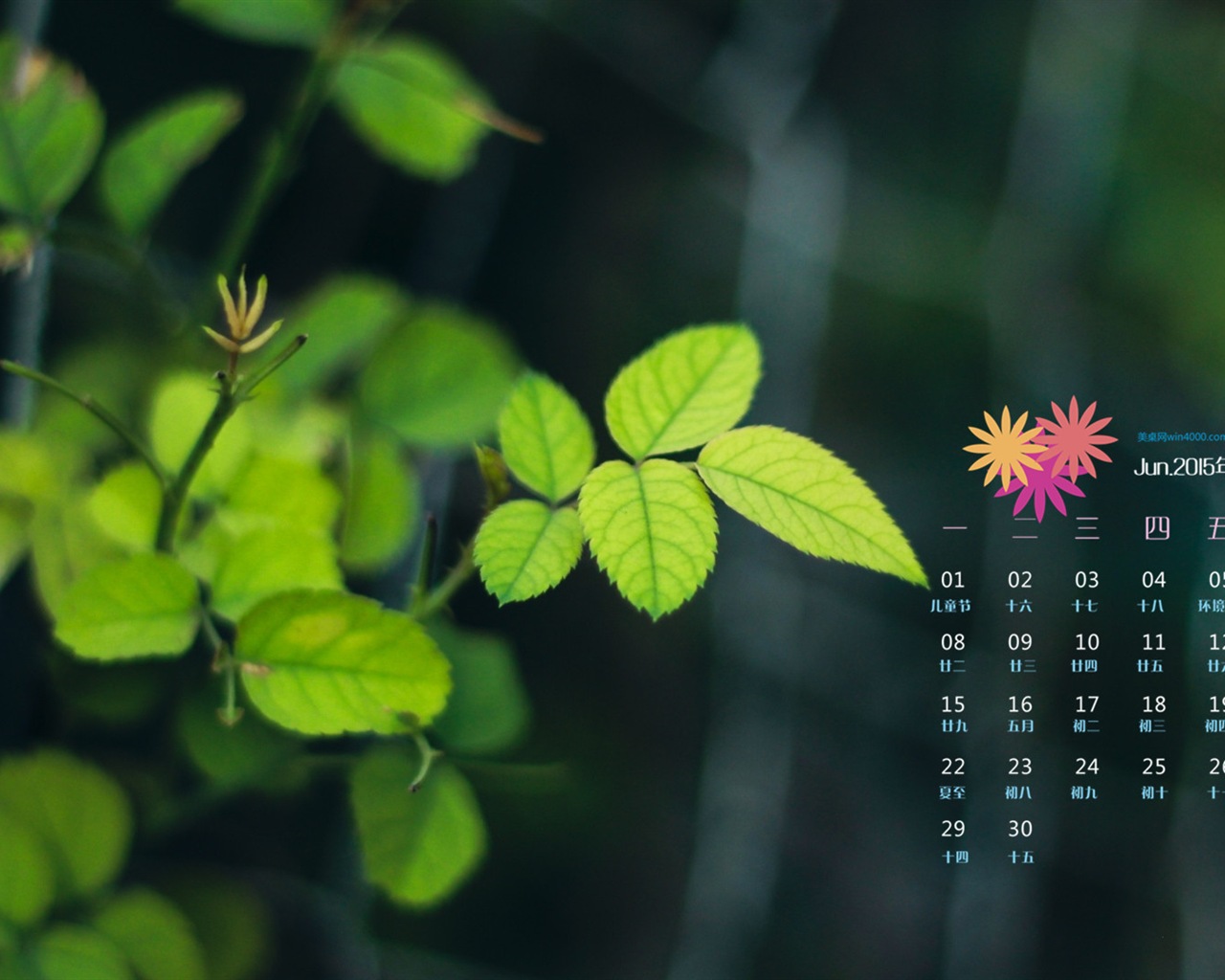 Juni 2015 Kalender Wallpaper (1) #12 - 1280x1024