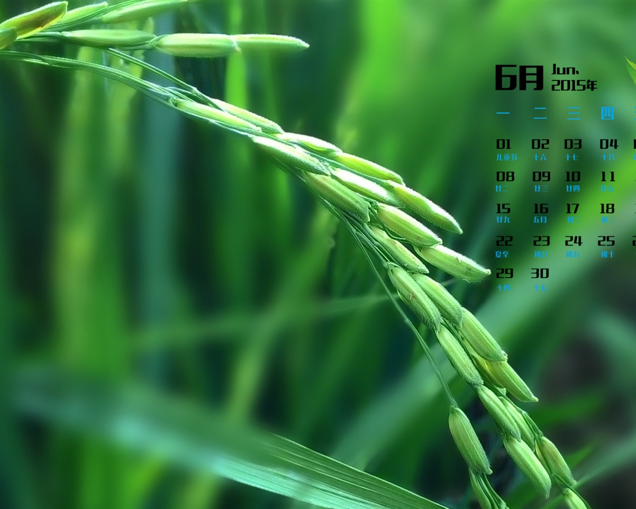 June 2015 calendar wallpaper (1) #14 - 1280x1024